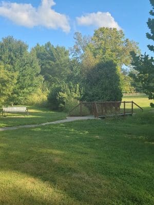 Shillito Park