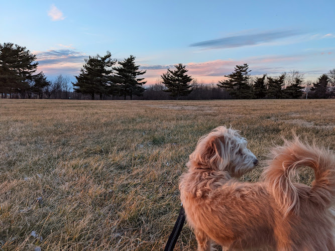 Shillito Park - Lexington, KY