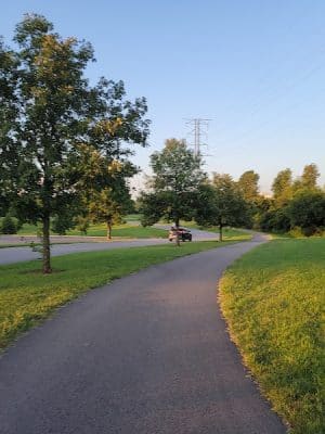 Shillito Park