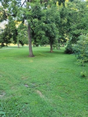 Shillito Park