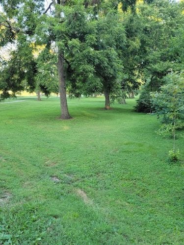 Shillito Park