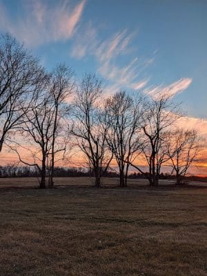 Shillito Park
