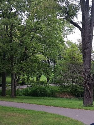 Shillito Park