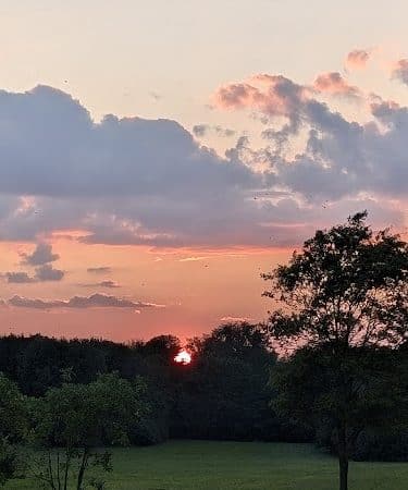 Shillito Park