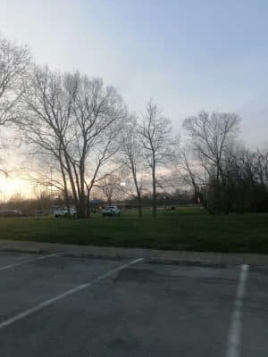 Shillito Park