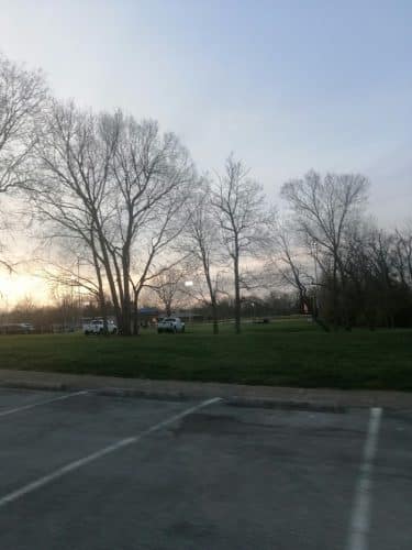 Shillito Park