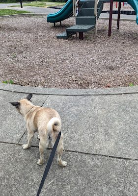 Southpoint Park