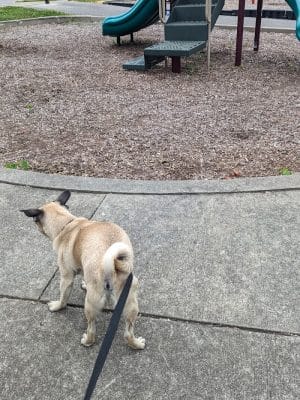 Southpoint Park