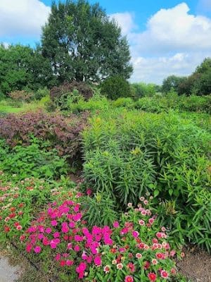 The Arboretum, State Botanical Garden of Kentucky