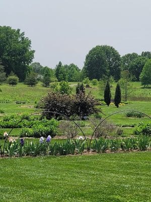 The Arboretum, State Botanical Garden of Kentucky