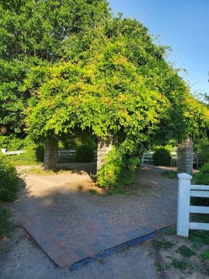The Arboretum, State Botanical Garden of Kentucky