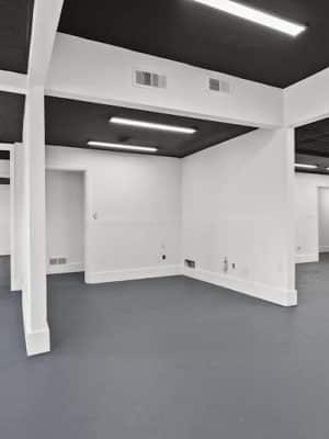The Dognasium Doggy Daycare