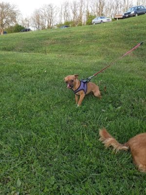 Veterans Park