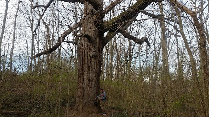 Veterans Park - Lexington, KY