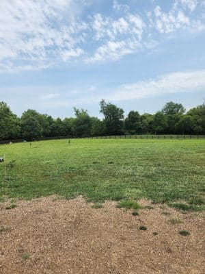 Veterans Park