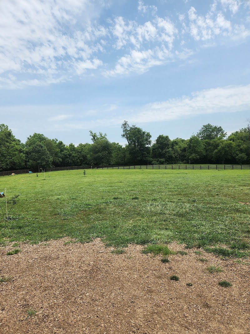 Veterans Park - Lexington, KY