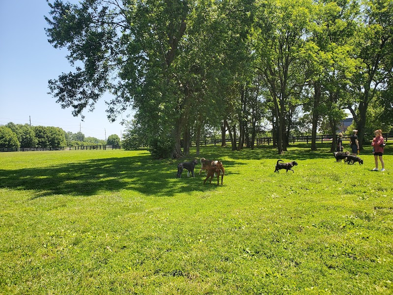 Wellington Park - Lexington, KY