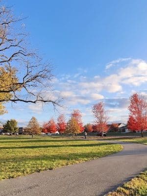 Wellington Park