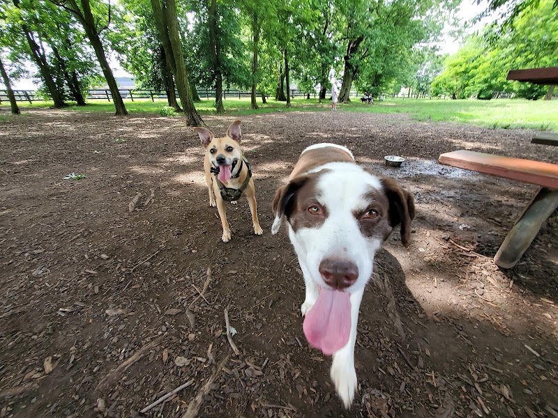 Wellington Park - Lexington, KY