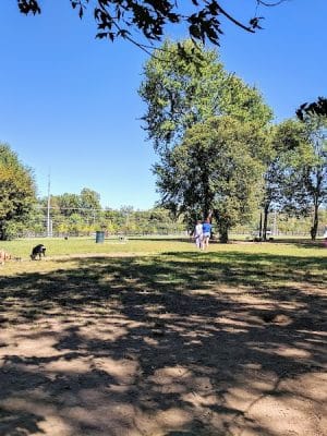 Wellington Park