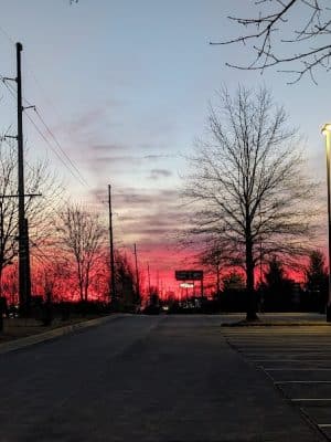 Wellington Park