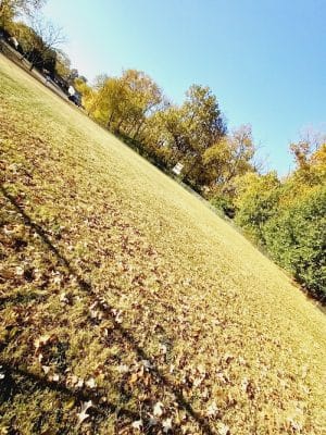 Wolf Run Park