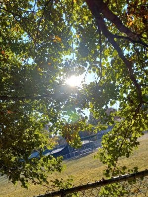 Wolf Run Park