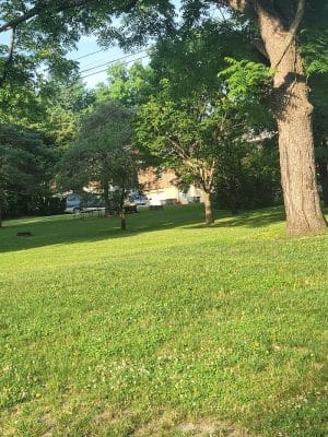 Wolf Run Park