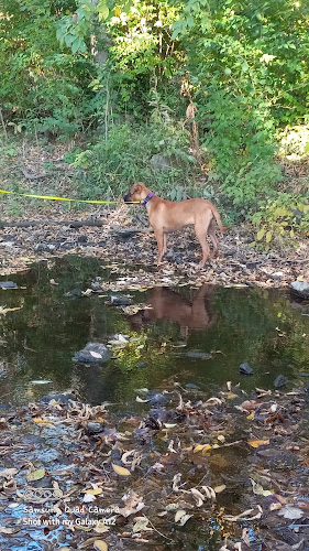 Wolf Run Park
