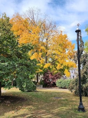 Woodland Park