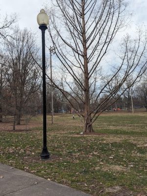 Woodland Park Playground