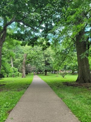 Woodland Park Playground