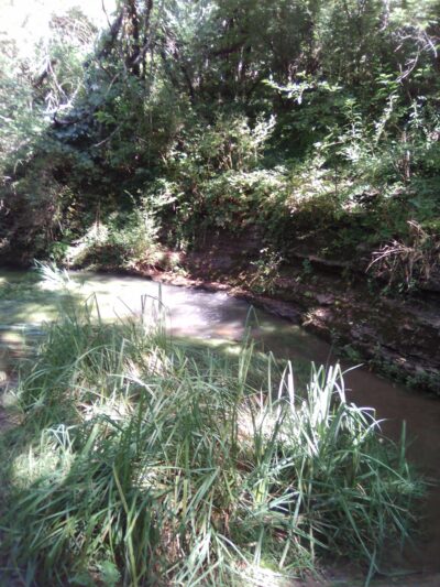 McConnell Springs Park - Lexington, KY