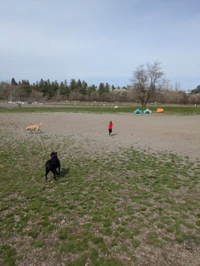 Scraps Dog Park - Liberty Lake, WA