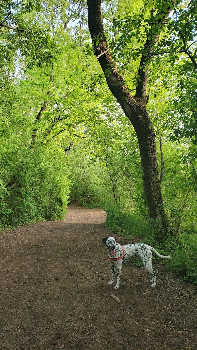 Independence Grove Off-Leash Dog Area - Libertyville, IL