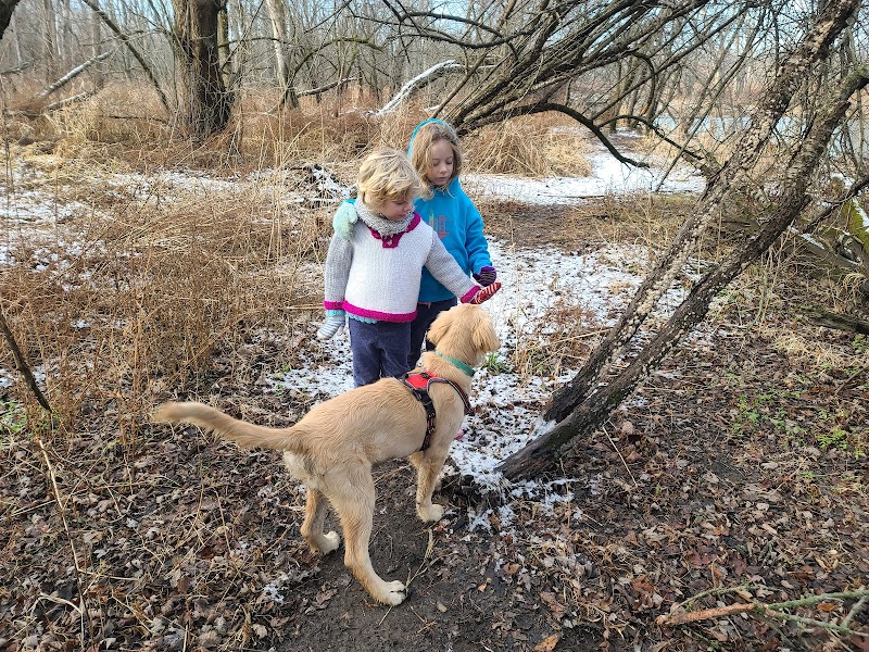 Independence Grove Off-Leash Dog Area - Libertyville, IL