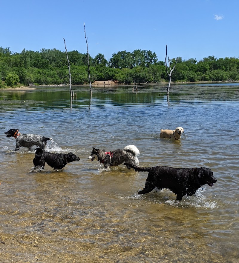 Independence Grove Off-Leash Dog Area - Libertyville, IL