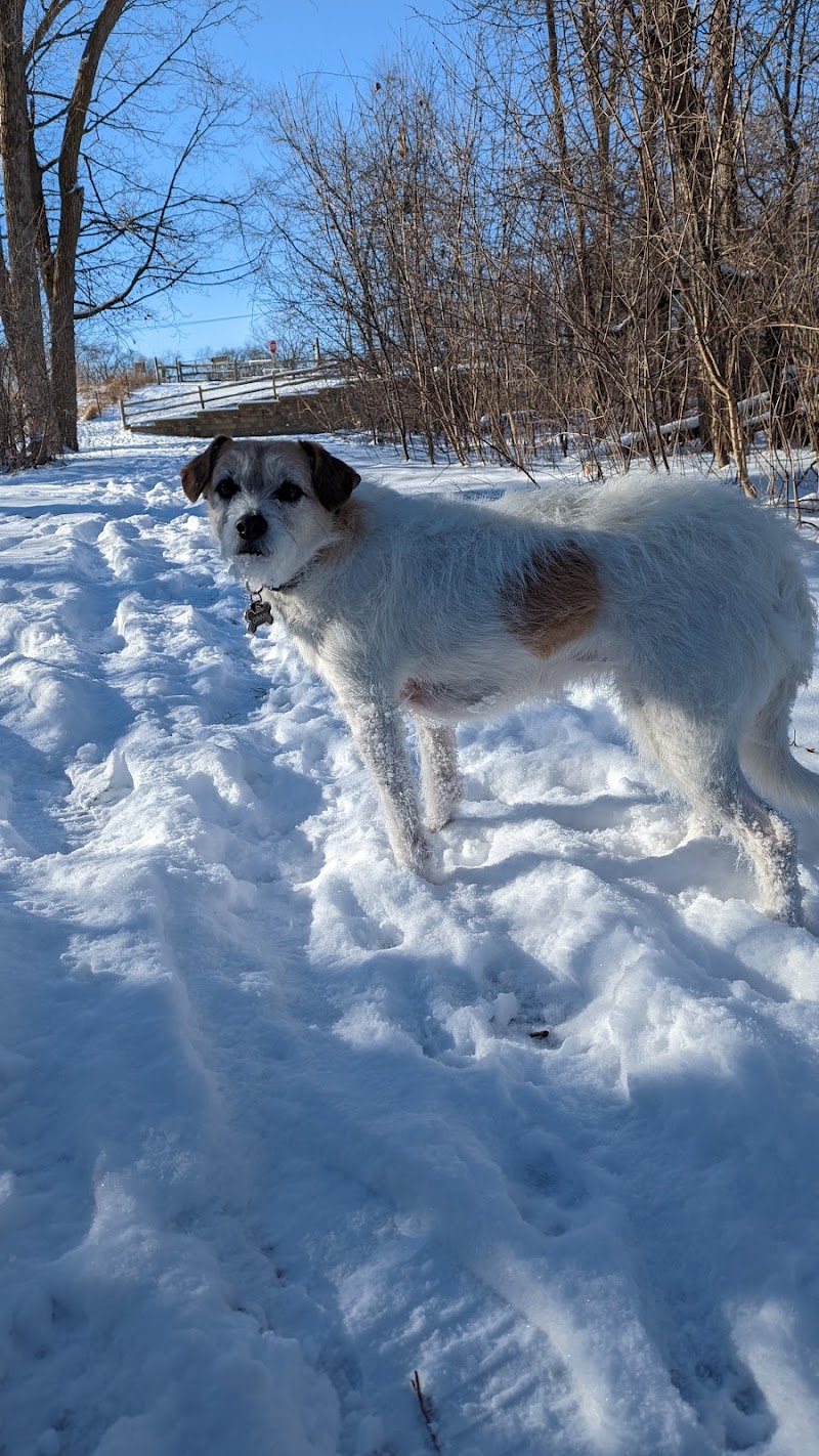 Independence Grove Off-Leash Dog Area - Libertyville, IL