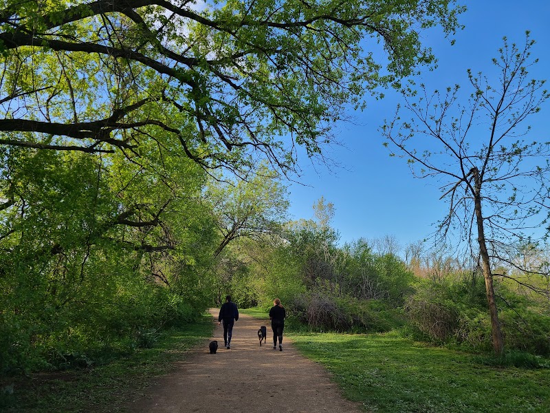 Independence Grove Off-Leash Dog Area - Libertyville, IL