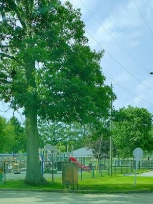Friendship Park