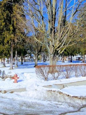 Mellon Park