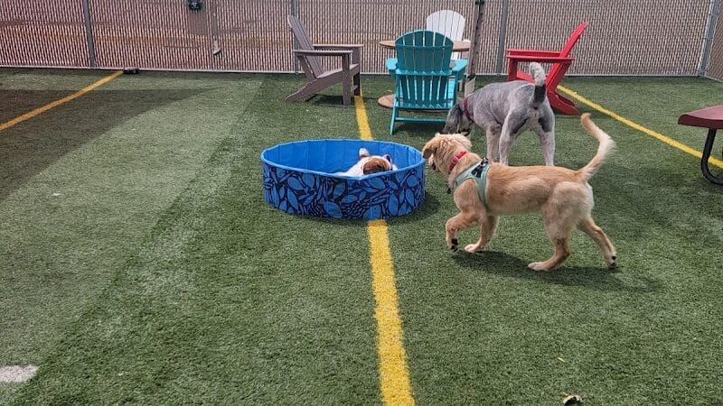 Off Leash Dog Bar - Lincoln, NE