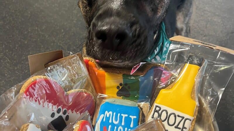 Off Leash Dog Bar - Lincoln, NE
