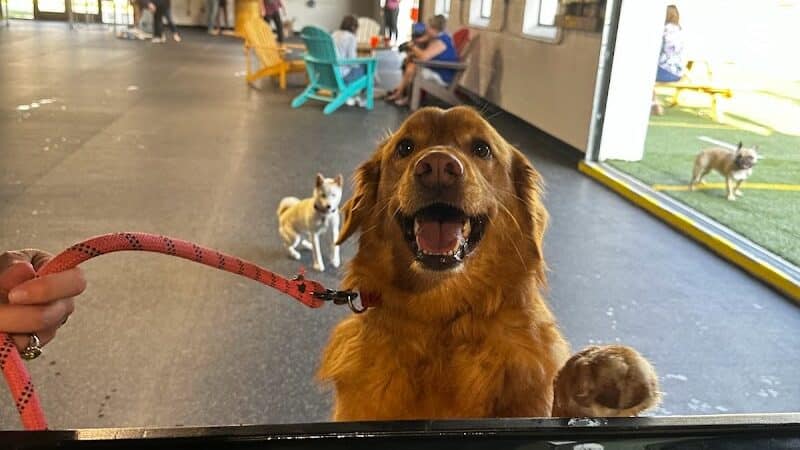 Off Leash Dog Bar - Lincoln, NE