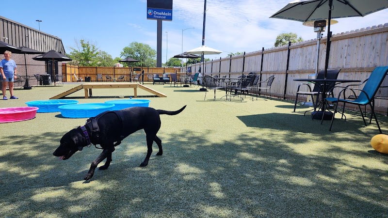 Urban Hound Dog Park & Bar - Lincoln, NE