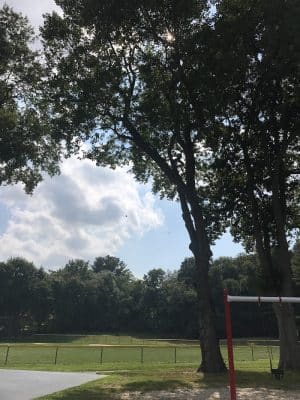 Albion Field and Playground