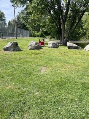 Albion Field and Playground
