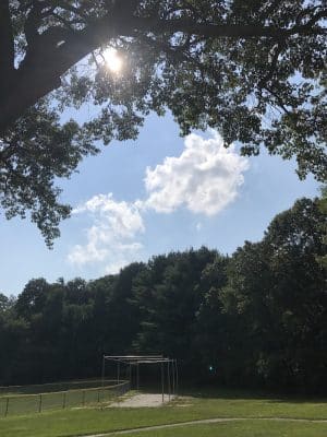 Albion Field and Playground