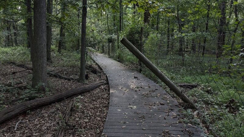 Hawk Rise Sanctuary - Linden, NJ