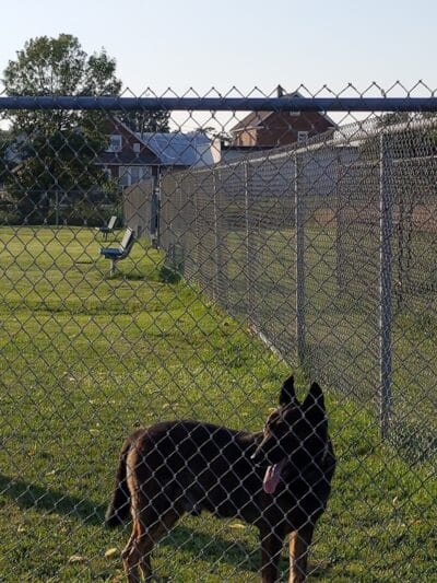 Memorial Field Park - Linden, NJ